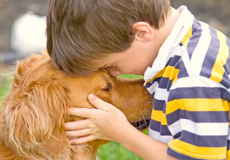 Perros y gatos previenen alergias alimentarias en bebés y niños