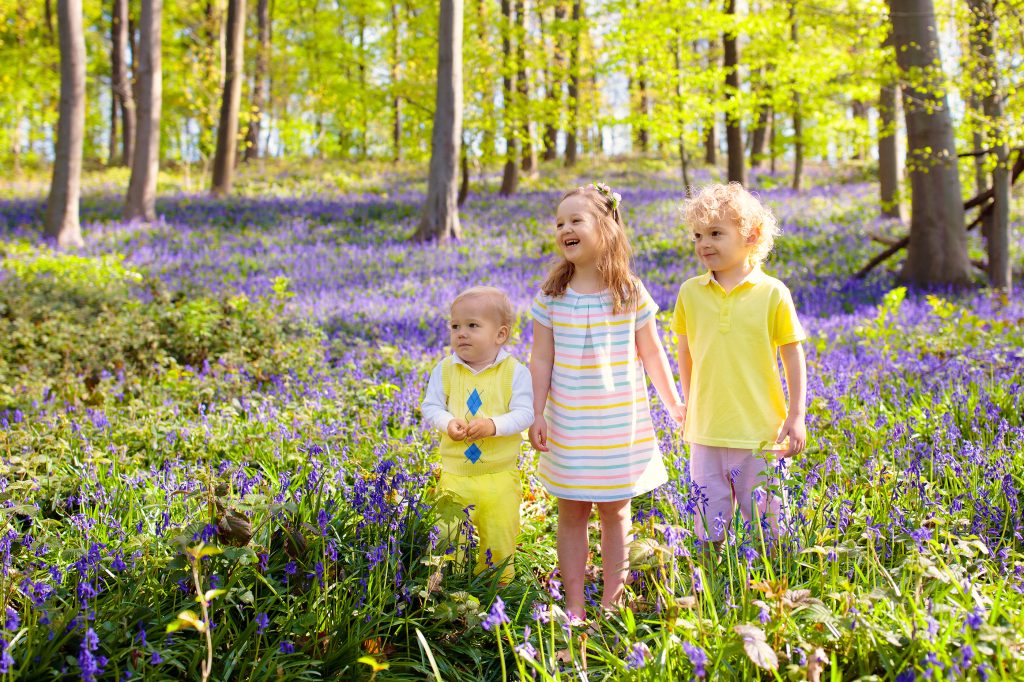 Los Parques Naturales Y La Importancia Para Nuestros Hijos CSC