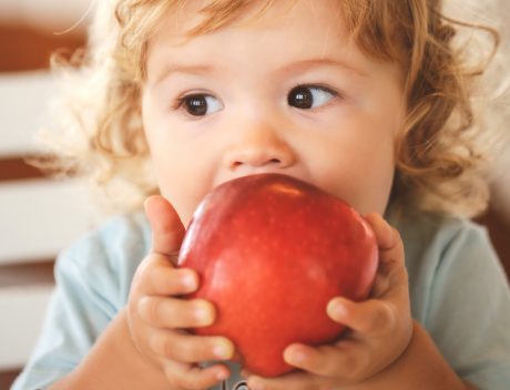 Piden a la UE que la comida escolar saludable sea derecho