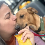 María José Romero, miembro de la protectora de animales Segunda Oportunidad Santaella: Consejos para familias que quieren adoptar un perro