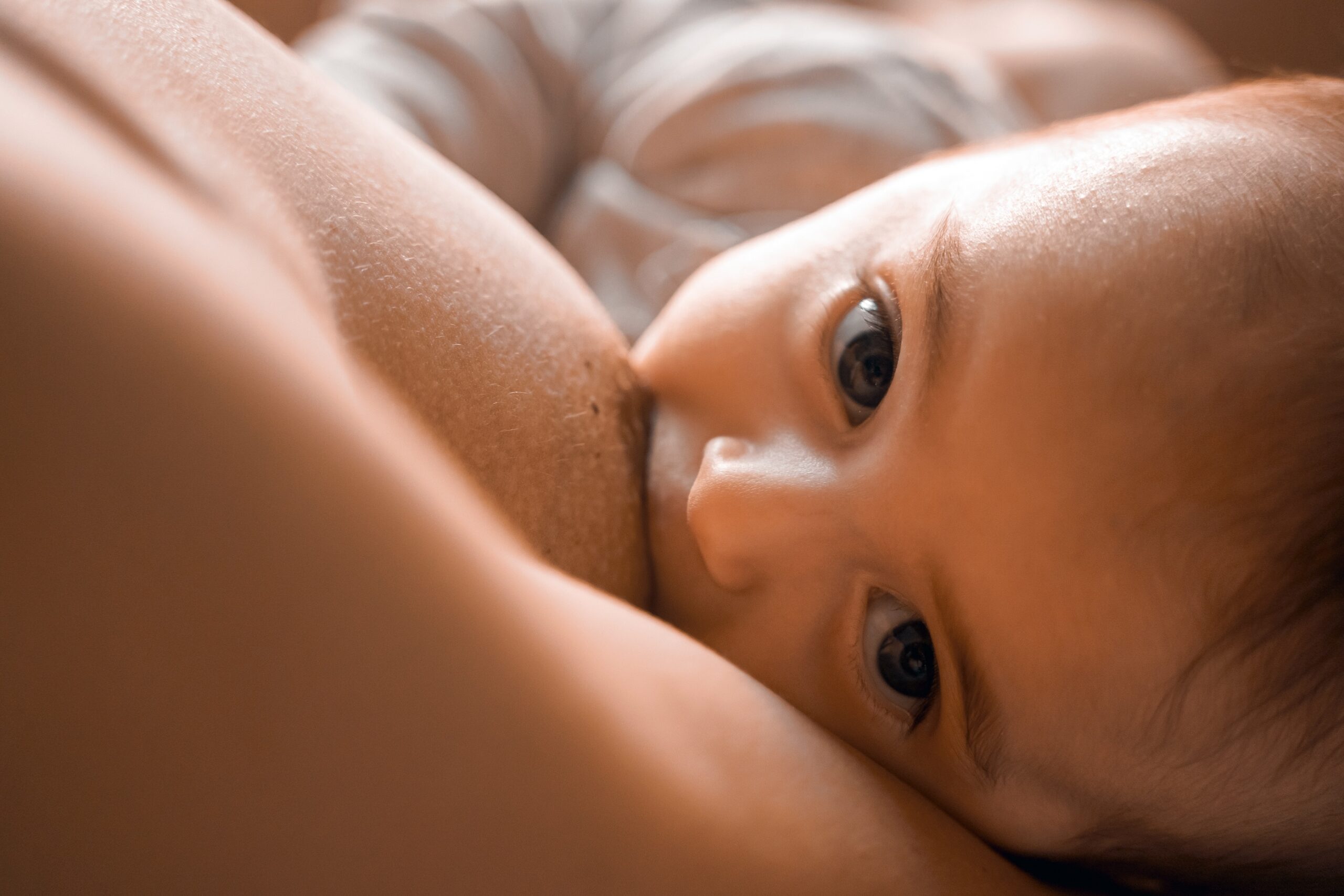 El factor protector de la caries de la lactancia materna