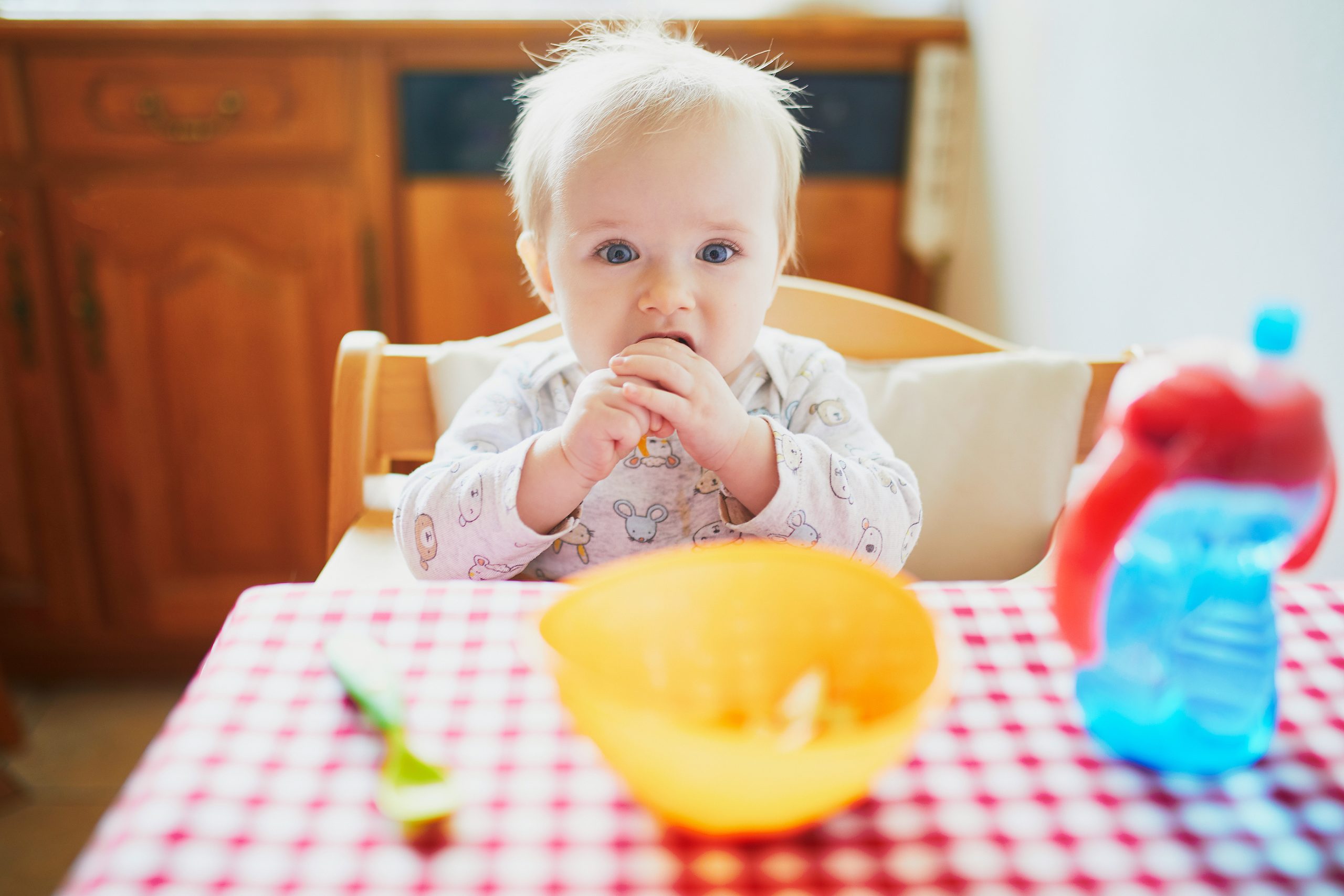 Cuál es la regla de los 3 días para alimentación complementaria