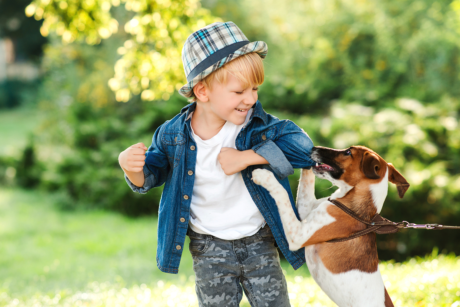 ¿Cómo enseñar a los peques a identificar las señales que anticipan la agresión canina